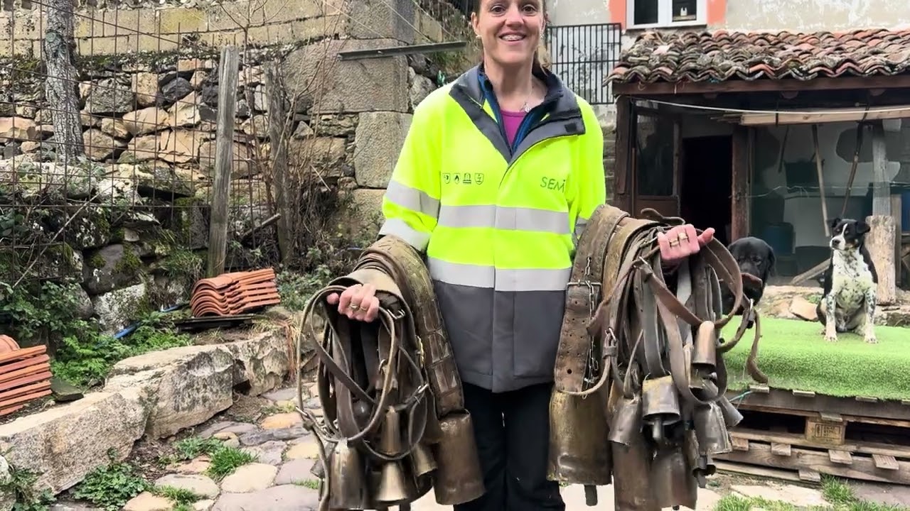 Preparando los cencerros para subir las vacas al puerto 