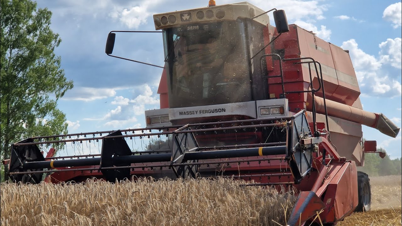 ⭐️🇵🇱 Ostatnia Akcja Z Sezonu 2023 | Żniwa GR Koślacz 🔥 | Nowy Nabytek Massey Ferguson 34 |