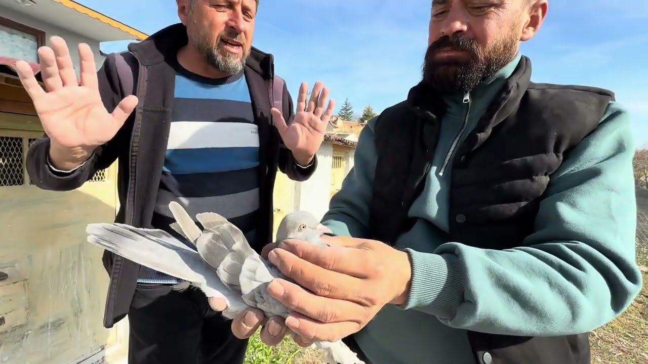 HÜSEYIN BEK TEMUR PAZARTESI AKŞAM CANLI YAYINDA
