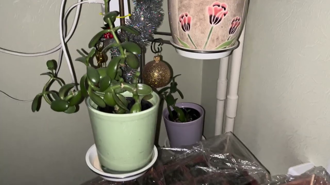 Дорогой дневник. Д1925.