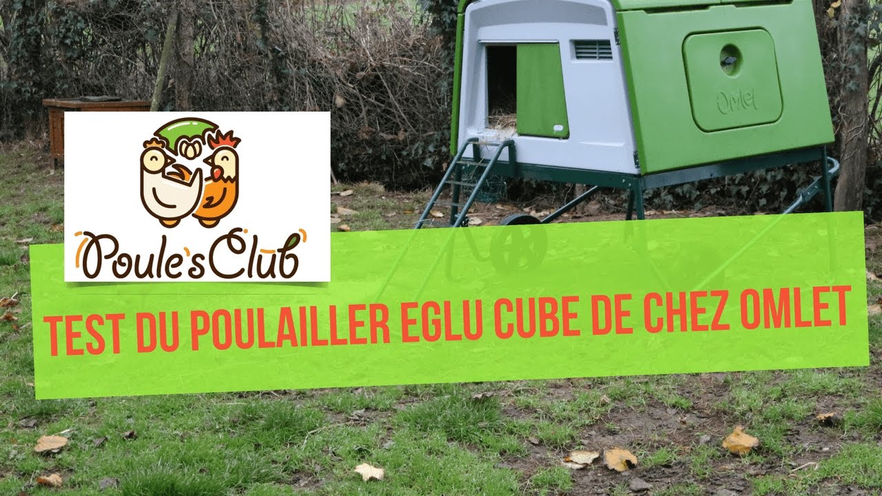 Test du poulailler Eglu Cube de chez Omlet