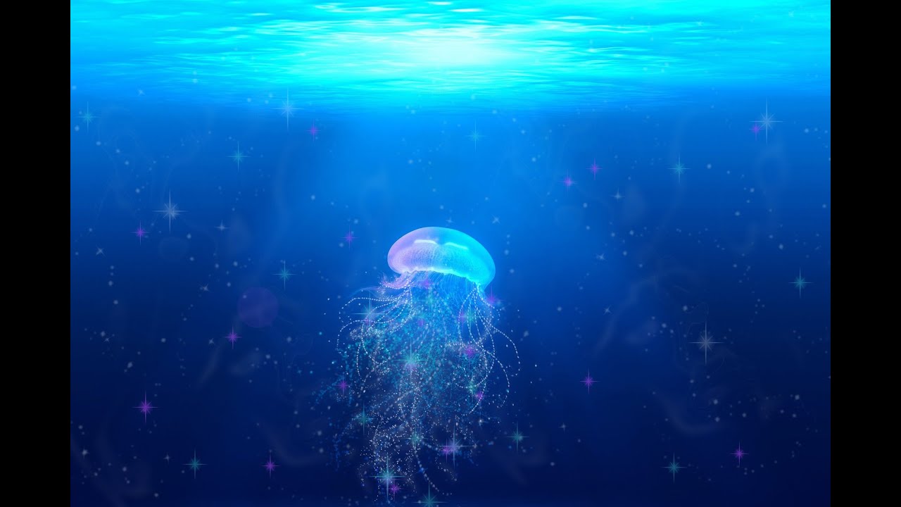 FOND MARIN / SEABED - Musique de relaxation - m&eacute;ditation - apaisement du stress