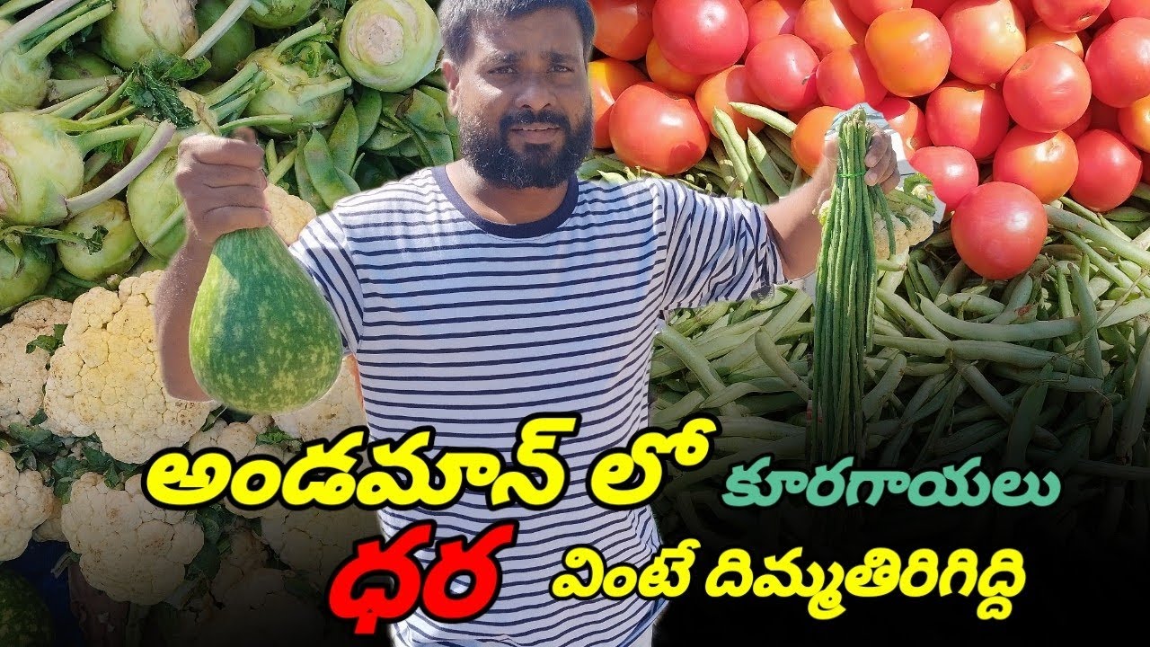అండమాన్ లో కాయగూరలు కొనాలంటే కోటీశ్వరులు అయ్యి ఉండాలి || middle class family can't buy vegetables 🍆