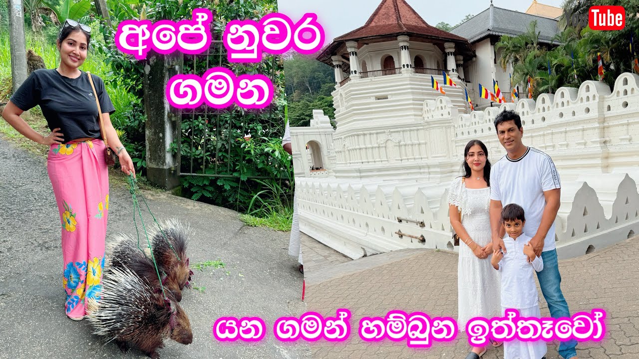 කාලෙකින් අපි තුන්දෙනා ගිය ගමන | රිද්මට ඉත්තෑවෝ රංචුවක් ලැබුනා | Ridma Pilapitiya