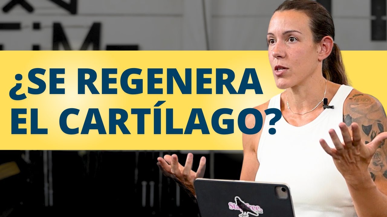 Nuevos descubrimientos sobre el Cartílago