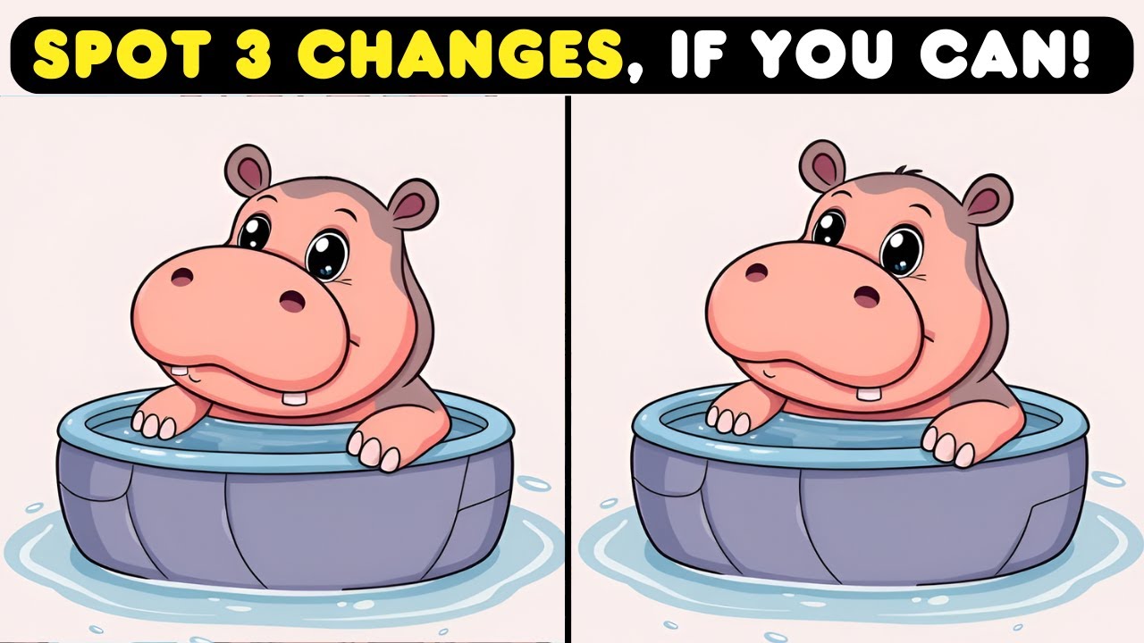 Find The 3 Differences  | Mind-Bending Challenges 🧩 | Spot Squirrel