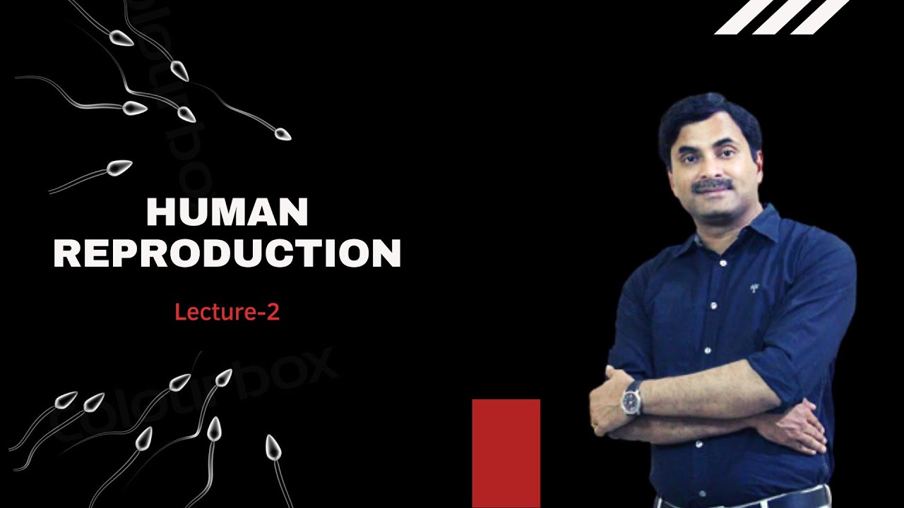Human Reproduction (Lecture-2) | Dr. N.S. JAIN