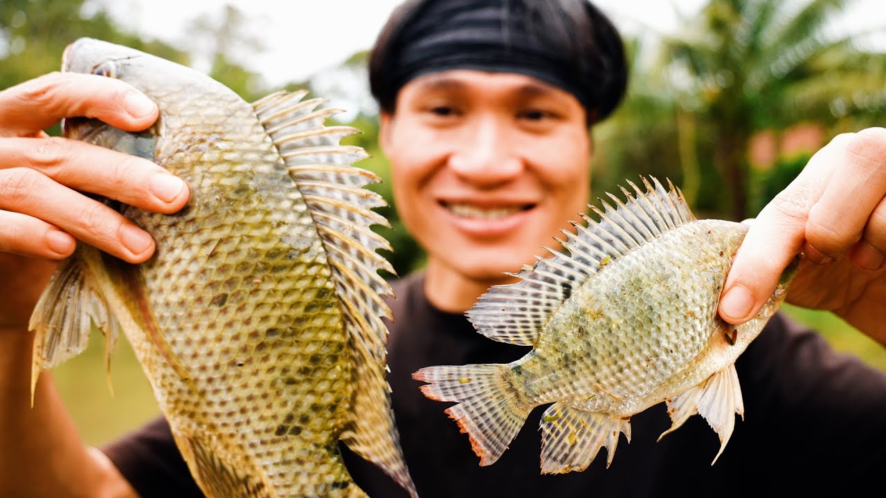 ĐI BẮT CÁ VỀ NẤU CANH CHUA 