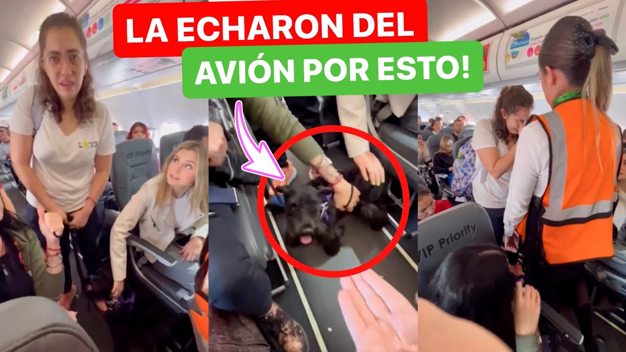 OBLIGAN a MUJER a BAJAR de un AVIÓN con su PERRO y los pasajeros INTENTAN EVITARLO! ⚠️