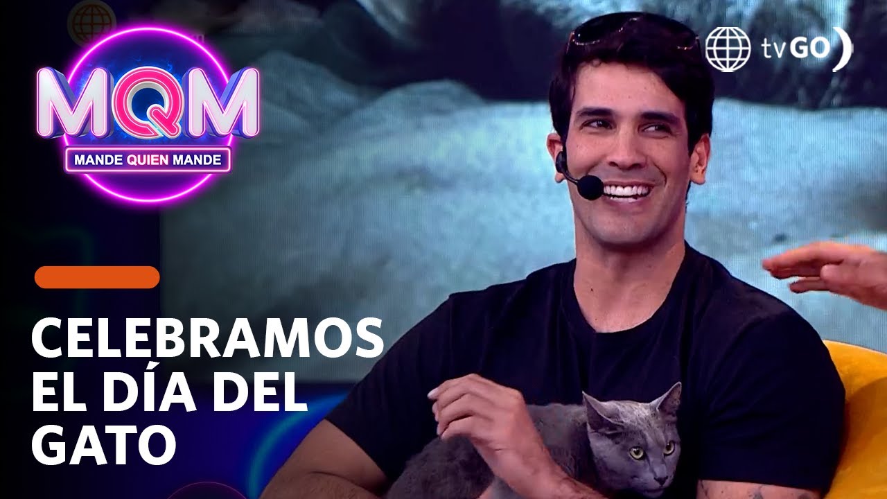 Mande Quien Mande: Famosos llegan con sus gatos al set (HOY)