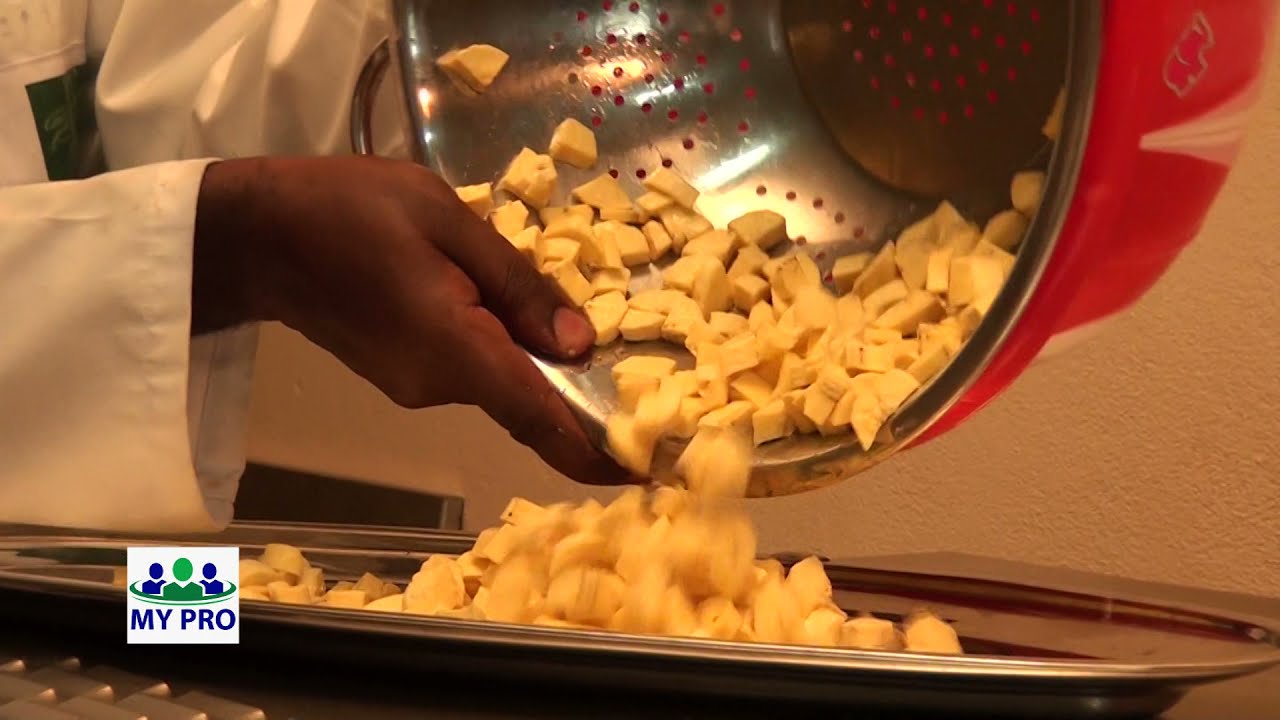 COMMENT FABRIQUER LA FARINE DE BANANES PLANTAINS?