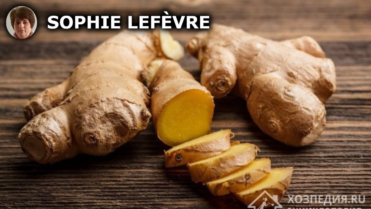 Conserver le gingembre &agrave; la maison : astuces pour garder sa fra&icirc;cheur et sa saveur
