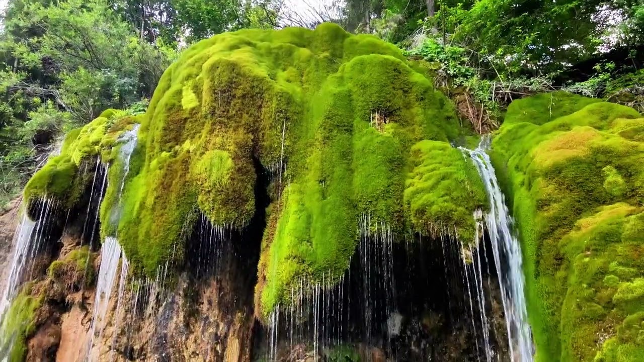 Cascada Pișoaia Vidrii și Dealul cu Melci ( Sat Nemeși )