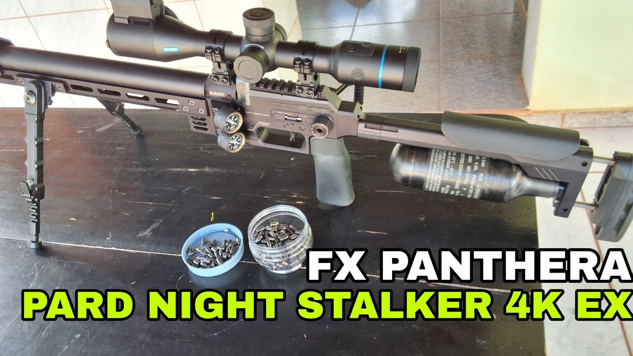 NEM AS FORMIGAS ESCAPAM | PARD NIGHT STALKER EX COM A FX PANTHERA 700MM 5.5 