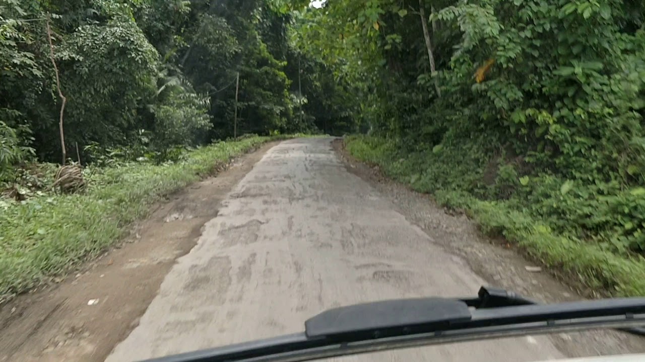 Journey to Radhanagar Beach, Havelock Island