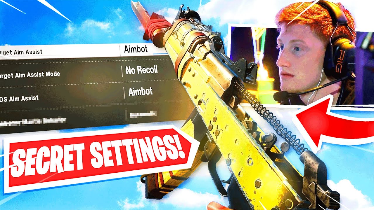 Using SECRET Pro Player SETTINGS and THIS happened.. 100% ACCURACY! (Cold War)