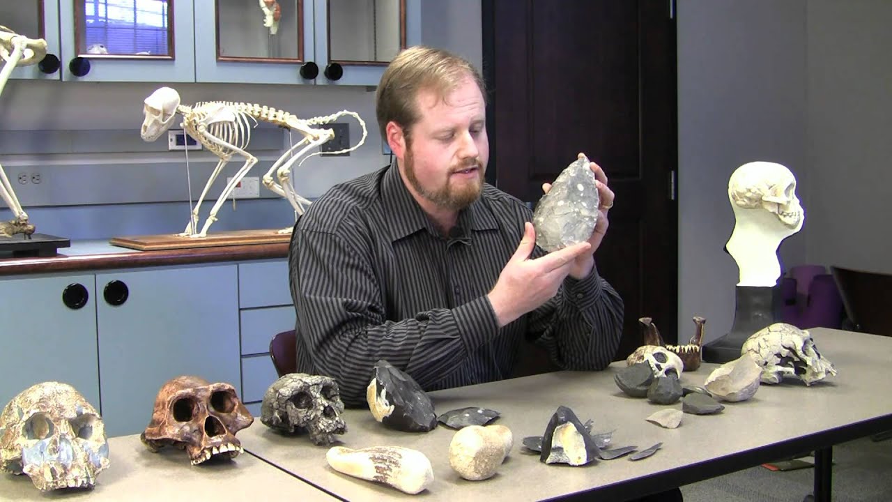 The Minds of Stone Age Toolmakers