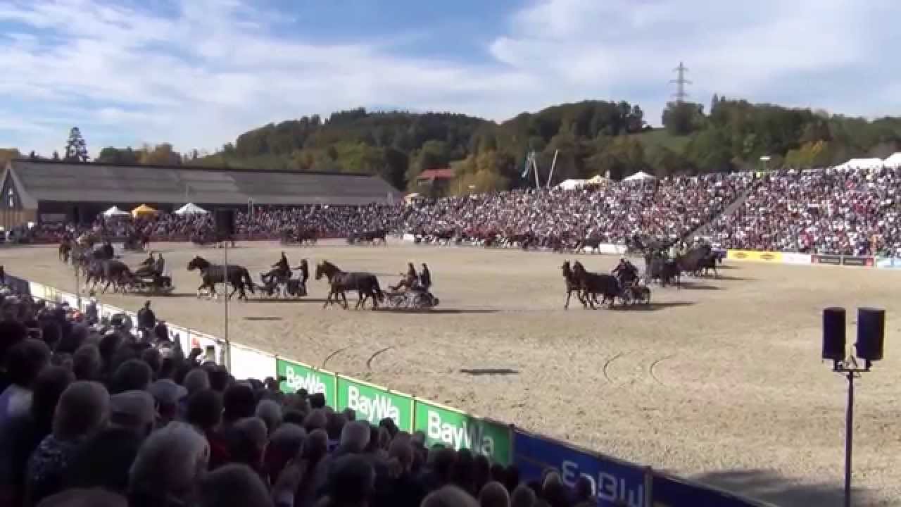 Hengstparade Marbach 2015 - Fahrquadrille