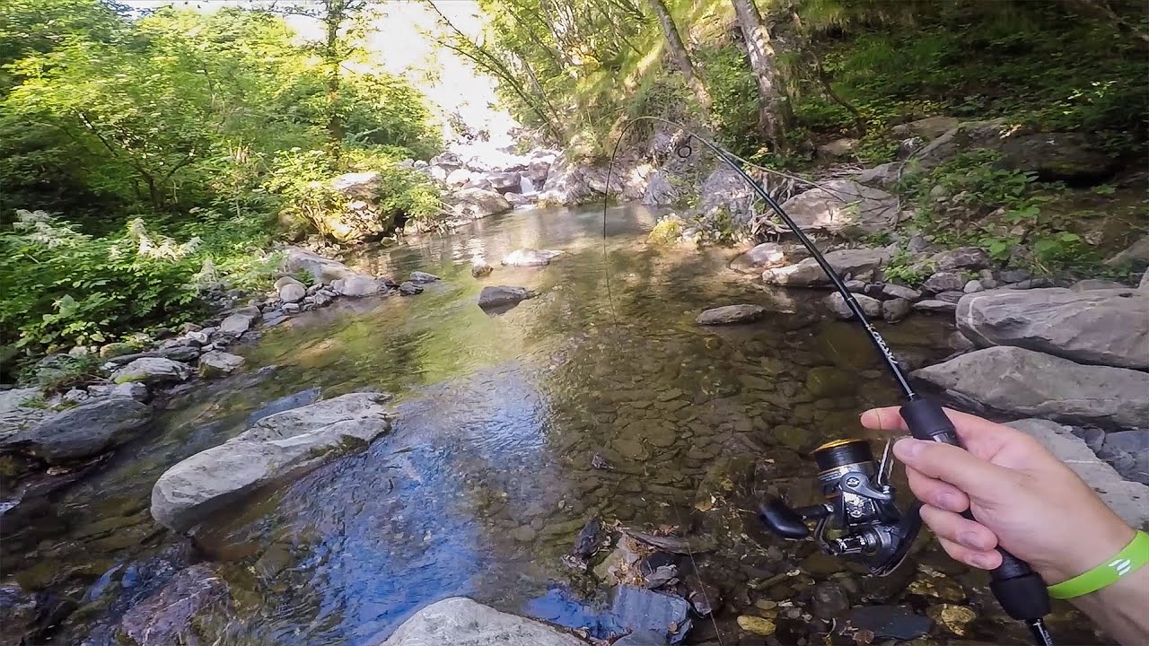 PIENO DI CATTURE TROTONA D'ALTRI TEMPI IN PICCOLO TORRENTE DI MONTAGNA PESCATA DELL'ANNO A SPINNING!