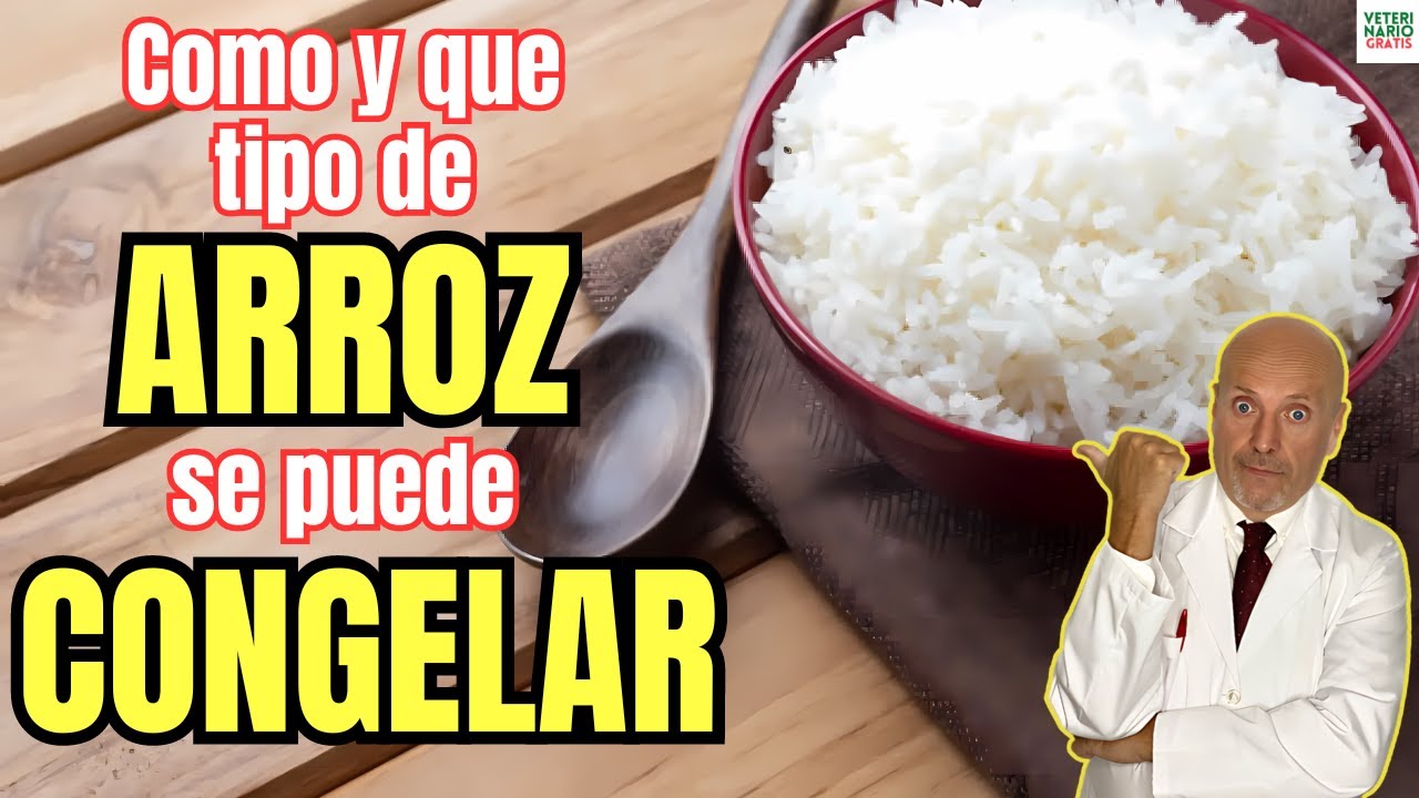 🍚 ¿EL ARROZ SE PUEDE CONGELAR? ¿COMO? ¿QUE TIPO DE ARROZ CONGELAR? 🍚