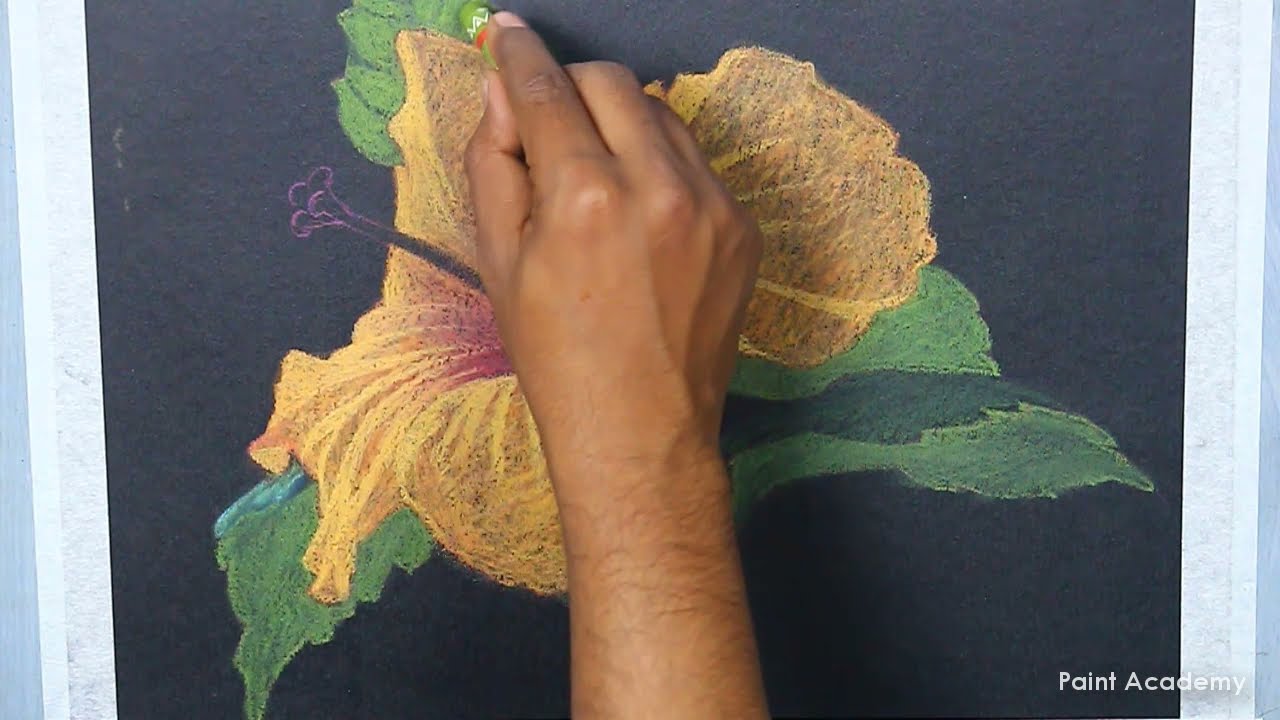 How to Draw Realistic Hibiscus Flower/ China Rose/ Gudhal with Oil Pastel | step by step