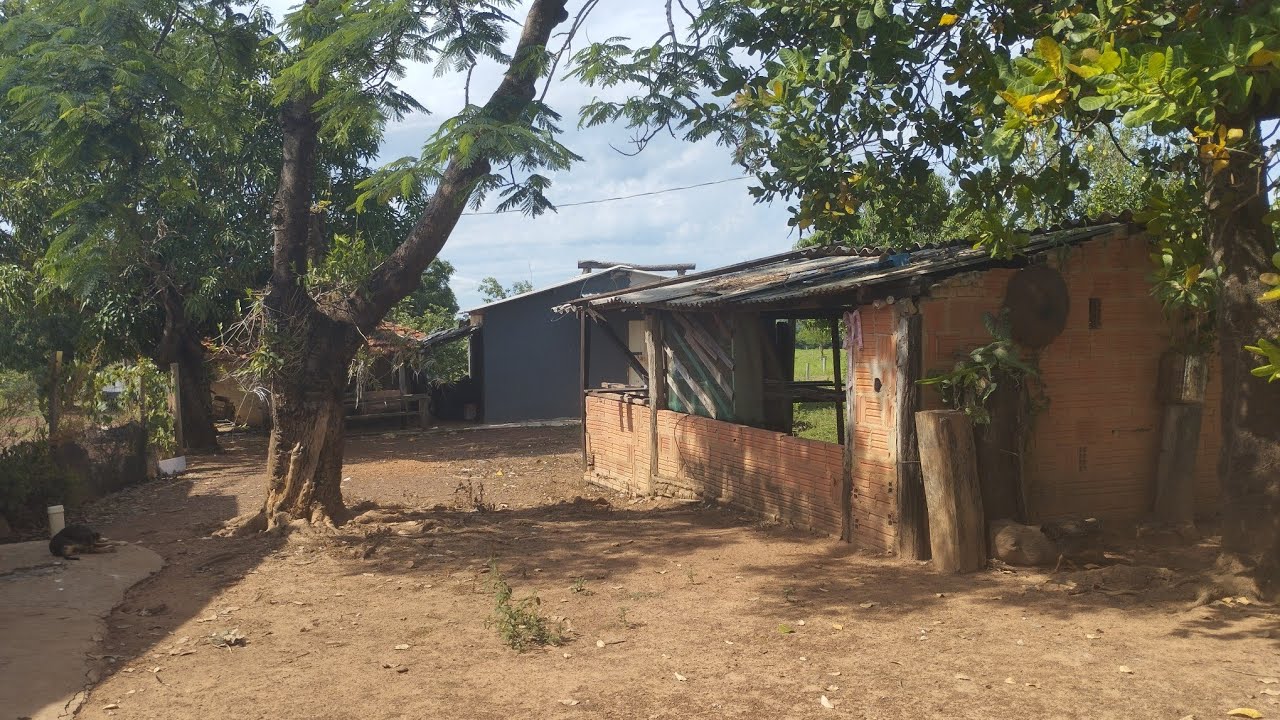 Fazenda com fartura,olha quantas frutas!!!!!