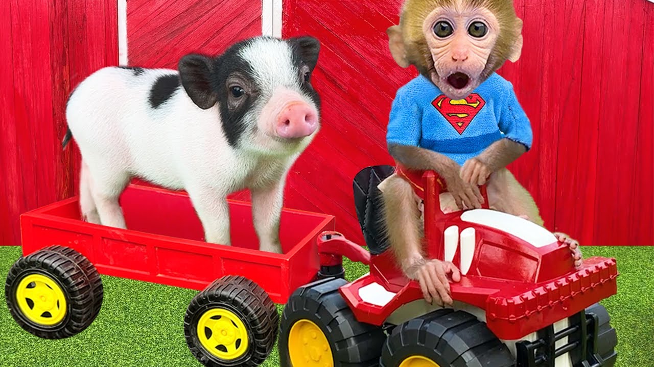 Bebé Mono BonBon repara el coche y hace helado arcoíris con el patito en la granja - MONO BONBON ESP