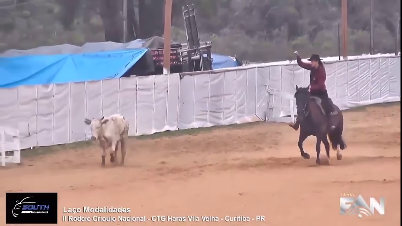 Amanda Rossa - Haras Vila Velha