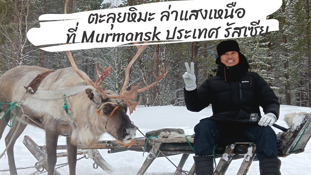 เที่ยวรัสเซีย 2024 EP3/5 || ตะลุยหิมะ ล่าแสงเหนือที่ Murmansk ประเทศรัสเซีย ||