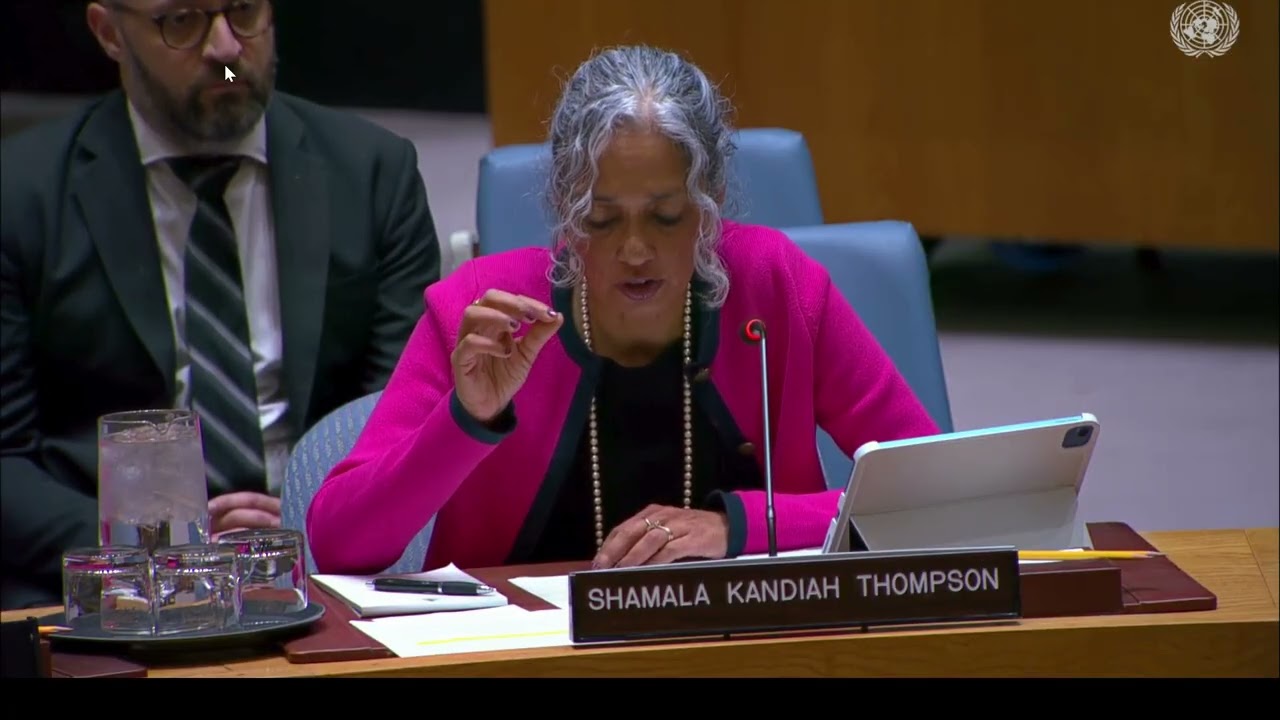 SCR Executive Director Shamala Kandiah Thompson at the Working Methods Debate (14 November 2025)