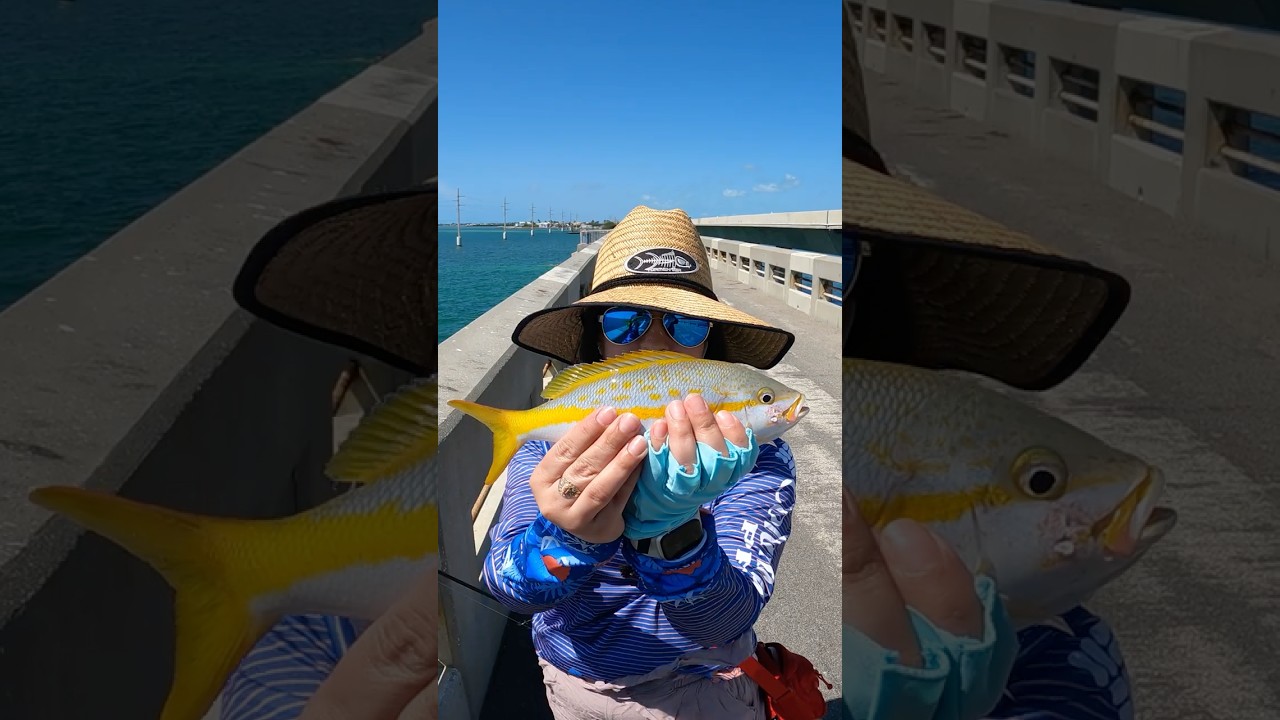 What you can expect when bridge fishing in the Keys&hellip;