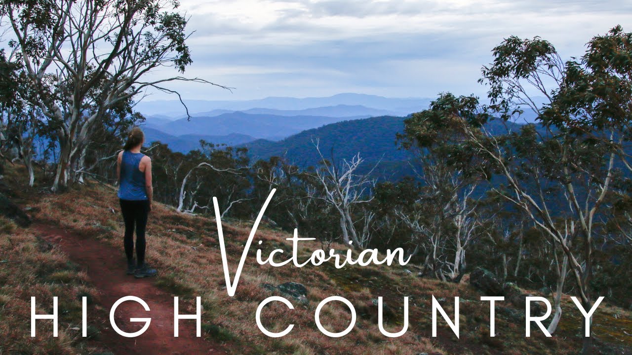 MT TIMBERTOP SUMMIT HIKE 1,275m | The Pap's Lookout Mansfield | Victoria High Country vlog