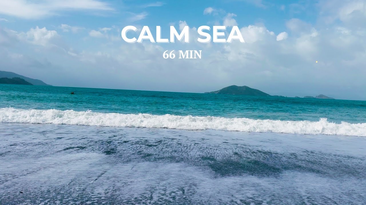 Gentle Sea Waves for Deep Sleep & Relaxation / 1 Hoar