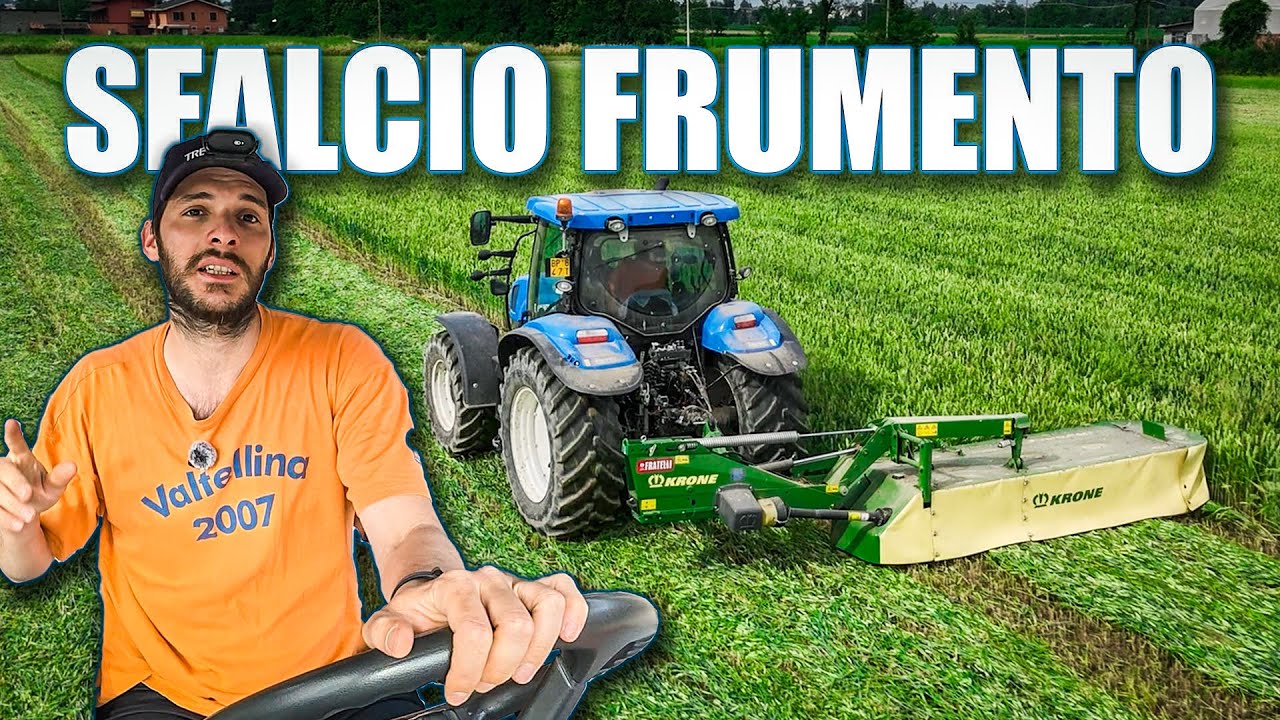 Sfalcio Frumento per Foraggio | Terreno Difficile e Resa deludente