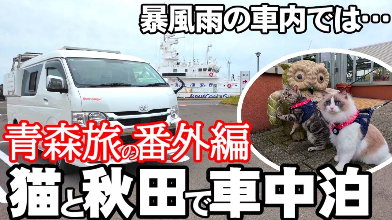 【ねこと車中泊旅】青森旅番外編～青森からの帰路は日本海回りで秋田を堪能♪貸切温泉で癒やされ、道の駅でお買い物＆グルメ＆ねこ散歩(^O^)v 旅はまだまだ終わらない！蔵出し映像を公開します＼(◎o◎)／