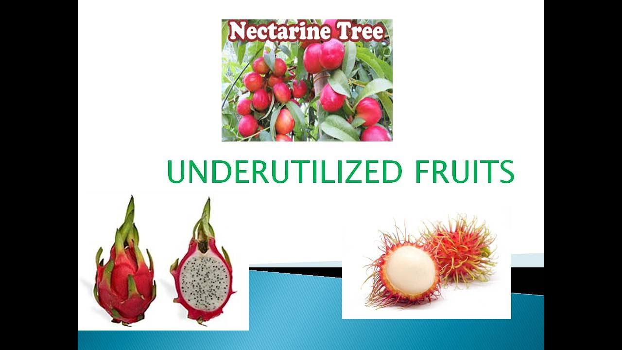 Underutilized fruits