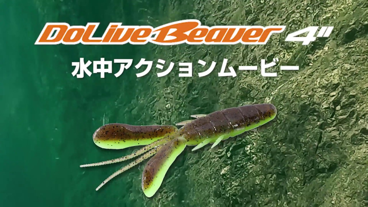 ドライブビーバー４