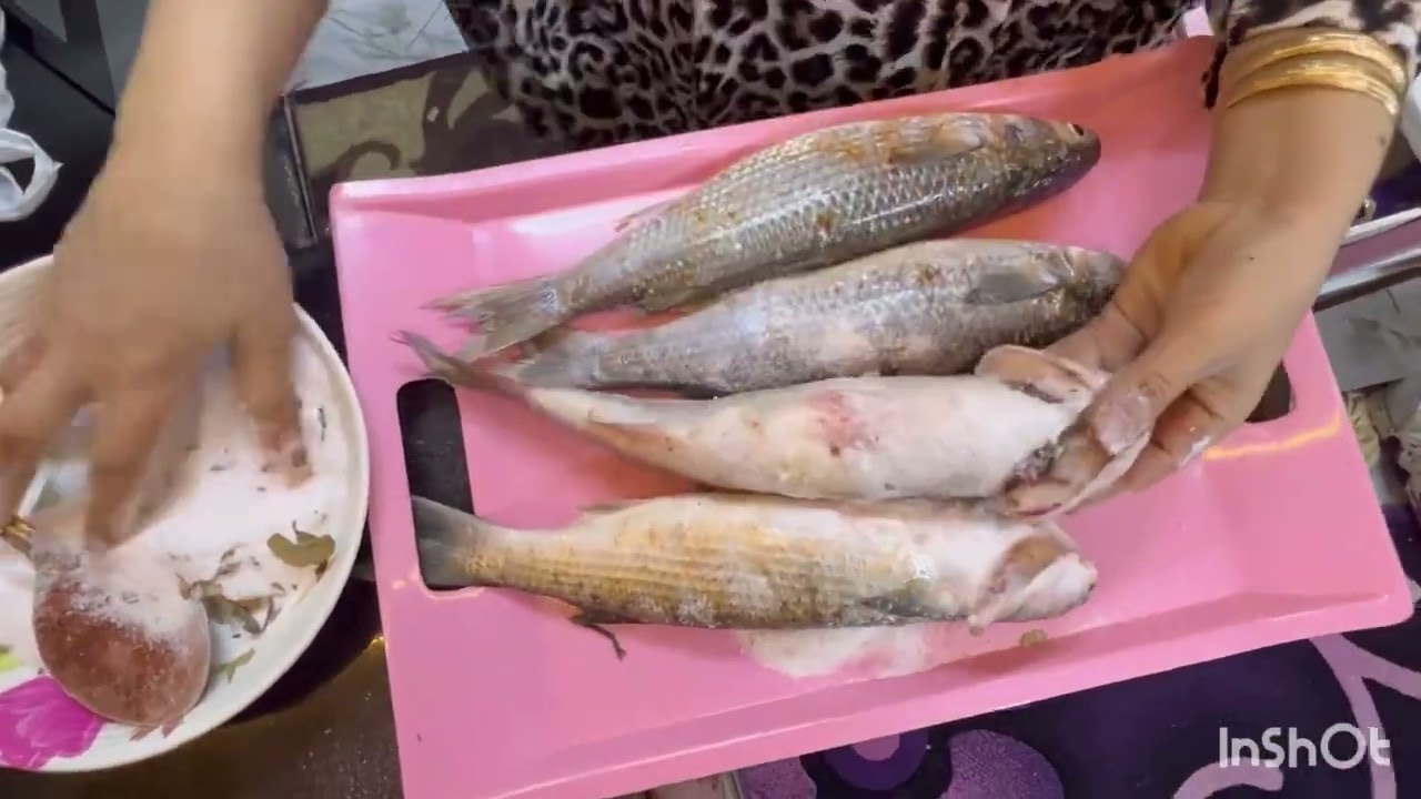 عملت فسيخ وسردين وبساريا بأسهل الطرق وعلي مزاج بطنيني متخيلتش النتيجه🫶🏻🫶🏻😹😹