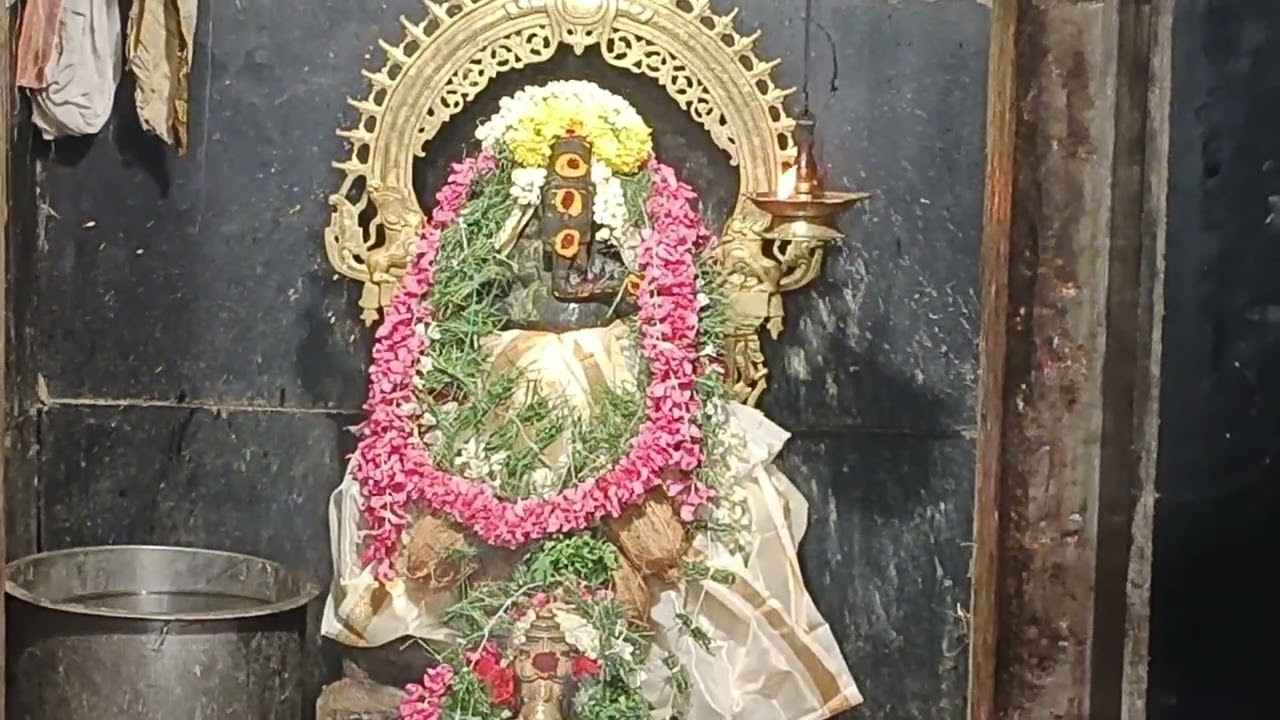 கோவில்பட்டி  ஸ்ரீ செல்வ விநாயகர் கோவில் சங்கடஹர சதுர்த்தி 