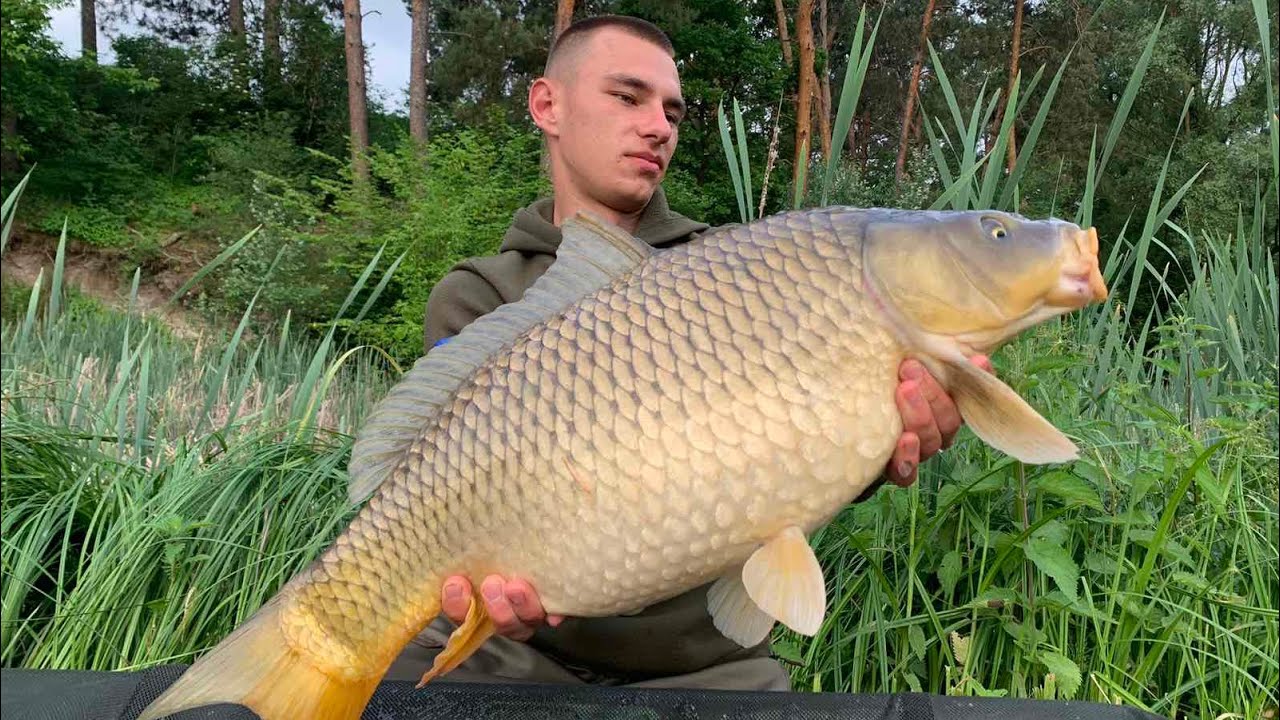 ЛЕДЬ НЕ ВТЯГНУЛО У ВОДУ 😨 МОНСТРИ НА МІЛЯКУ ЛАМАЮТЬ ВУДКИ 🤯