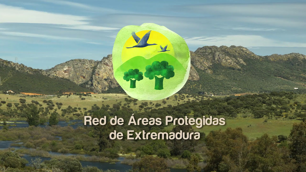 V37 RESUMEN RED DE AREAS PROTEGIDAS
