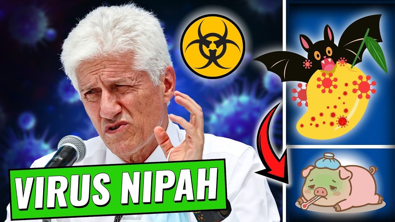 VUELVE el VIRUS NIPAH🦠 | &iquest;Podr&iacute;a ESCALAR a PANDEMIA? 😷