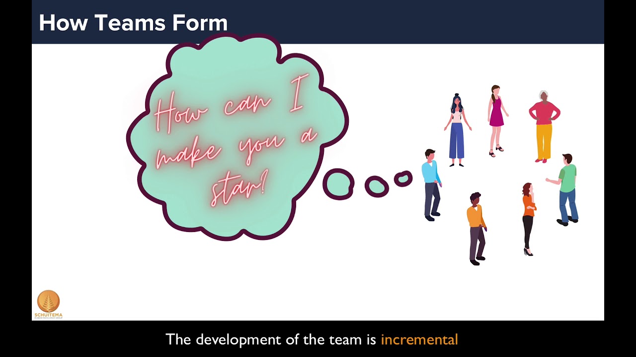 How Teams Form: Etsko Schuitema