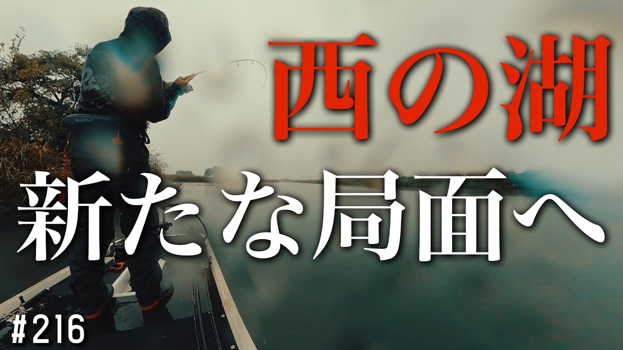琵琶湖西の湖『フィールドは新たな局面へ』西の湖マスター決勝大会2025.10.26
