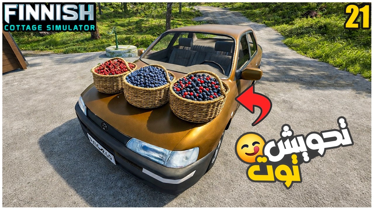 Finnish Cottage Simulator #21 | حياة المتقاعد : جمعت انواع التوت من الغابة