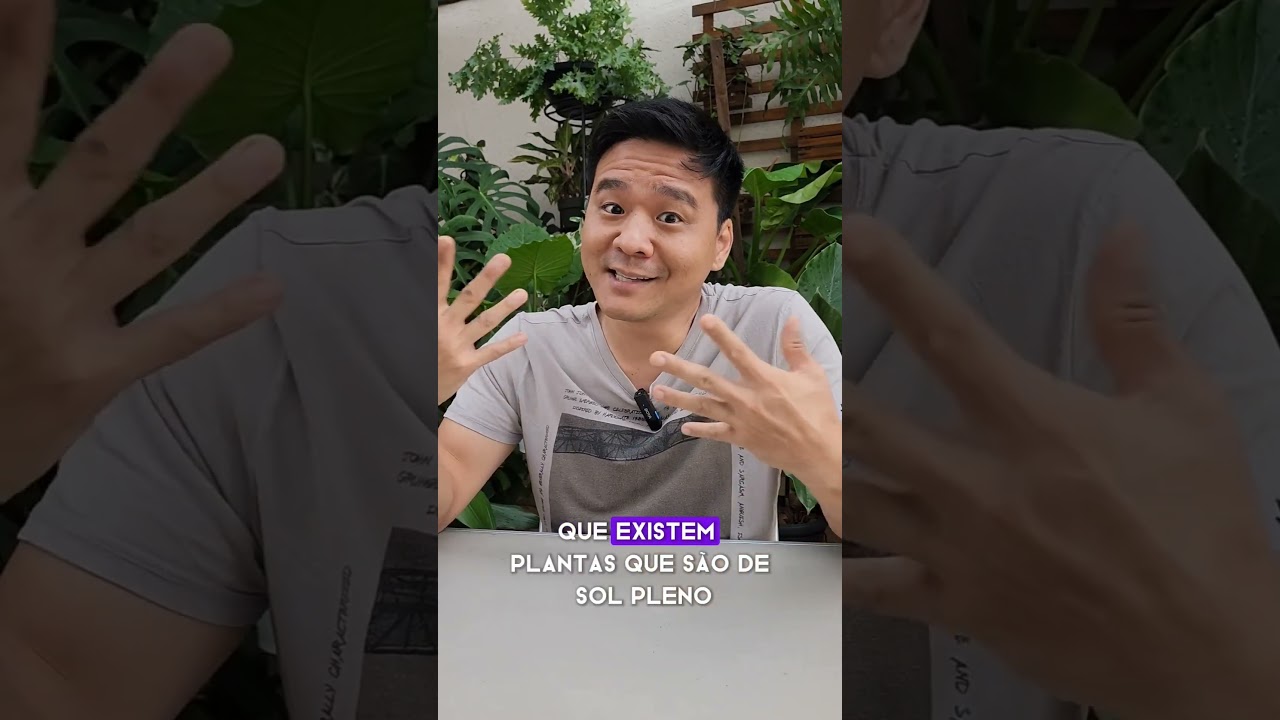 Depois que eu entendi a luminosidade #plantasemvasos #luminosidade #plantasdeinterior