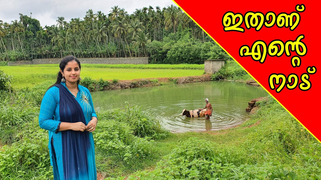 എൻ്റെ നാട് || നാട്ടിൽ ഷൂട്ട്‌ ചെയ്ത സിനിമകൾ  || Beauty of Palakkad