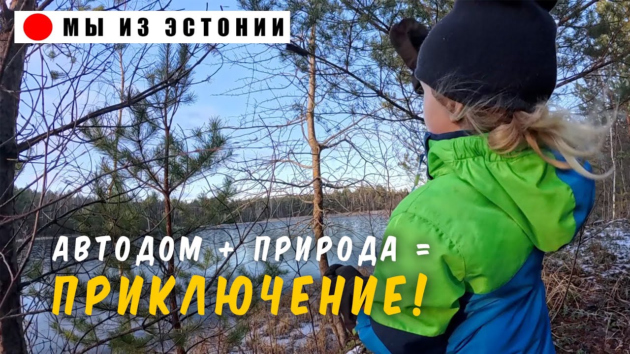 Куртна и Котка: Уютное путешествие по зимней Эстонии