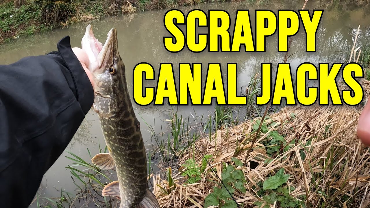 These pike hit fast - lure fishing on a small local canal