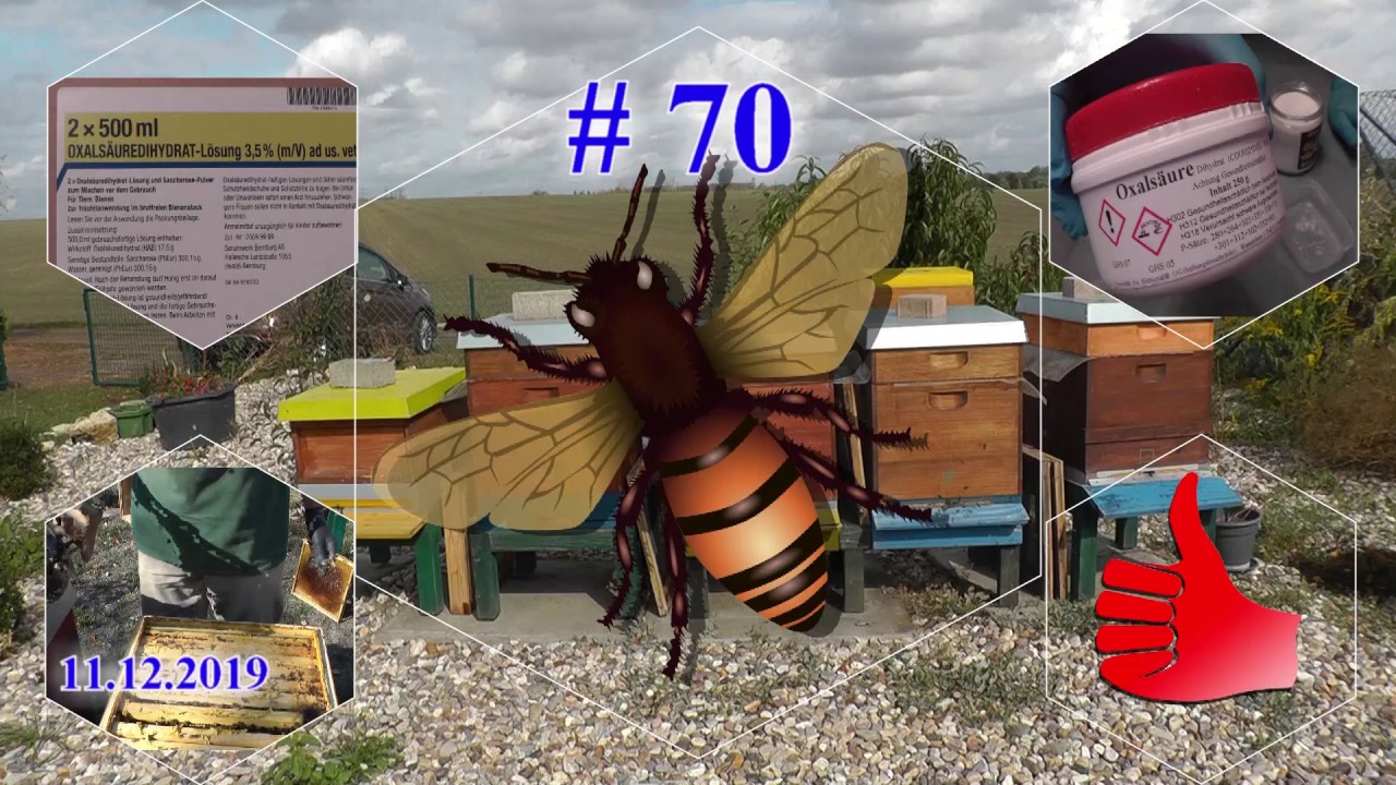 Oxalsäurelösung 3,5% selbst herstellen BeeDad Imkerei Bienen 2019 #70